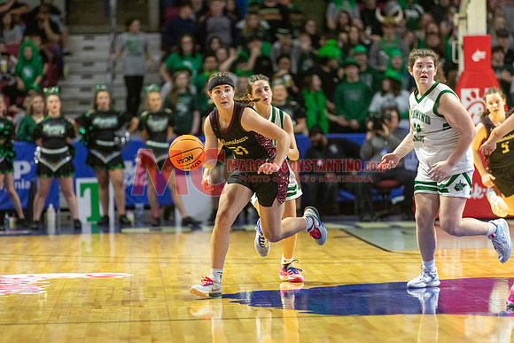 _B7A1350