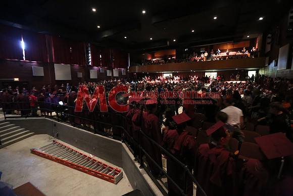 AMC_7279